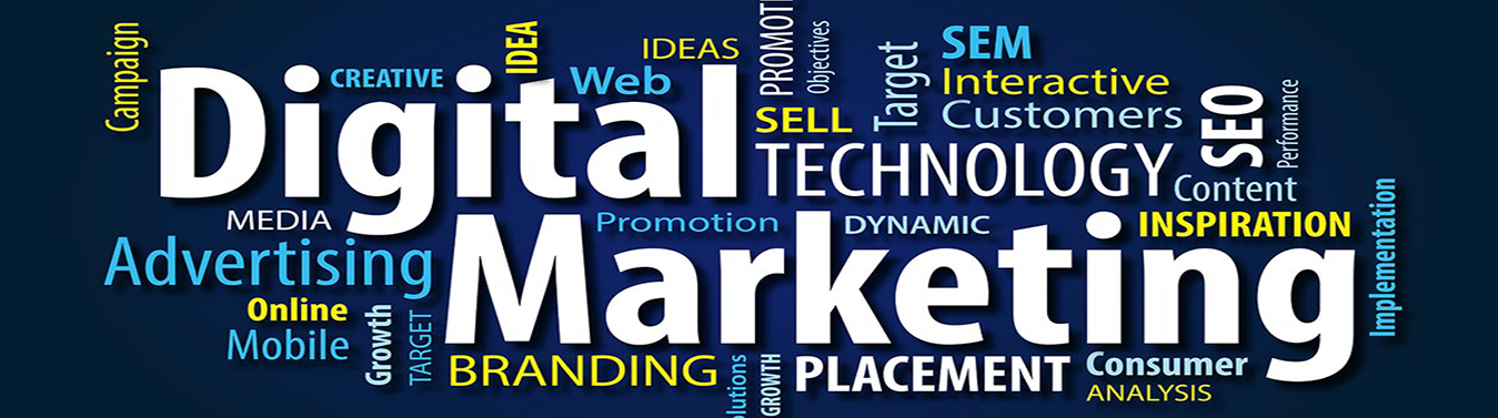  Best Digital Agency in Dehli NCR web design NCR 