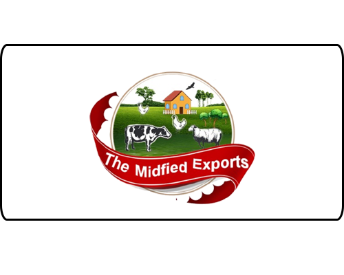 the midfied export